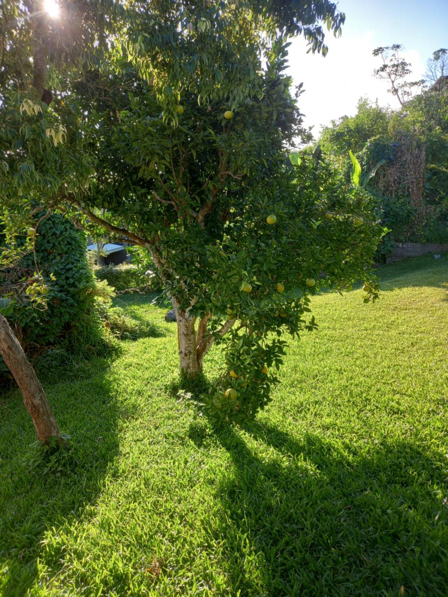 Leutibonheur Villa Saint-Leu Bagian luar foto
